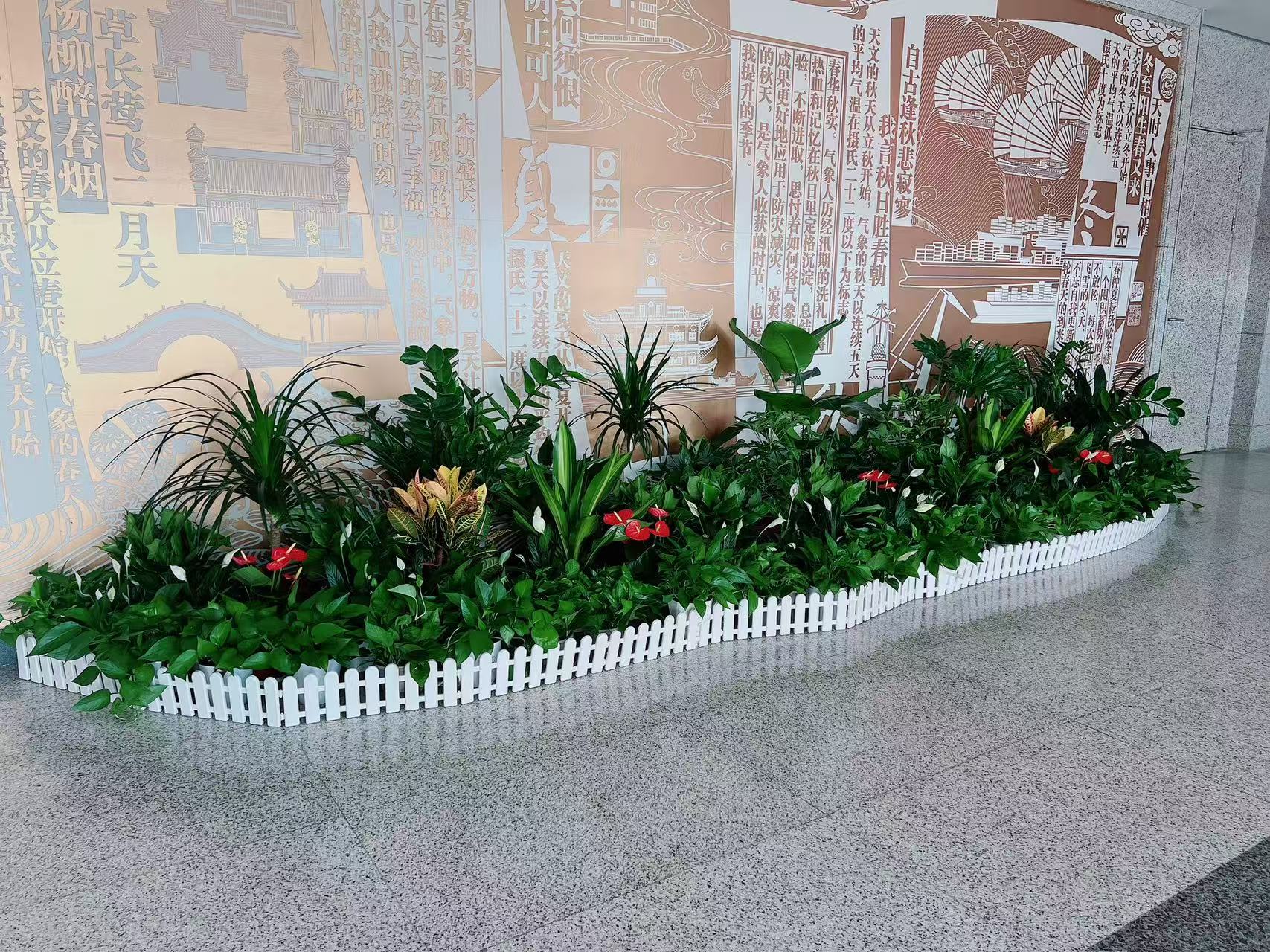 宁波北仑绿植租赁